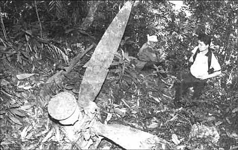 Part of a 4-bladed propeller